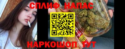гидра Беслан