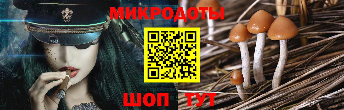 Псилоцибиновые грибы Cubensis  Псилоцибиновые грибы мухоморы  Владивосток  где купить наркотик  Вход с VPN 